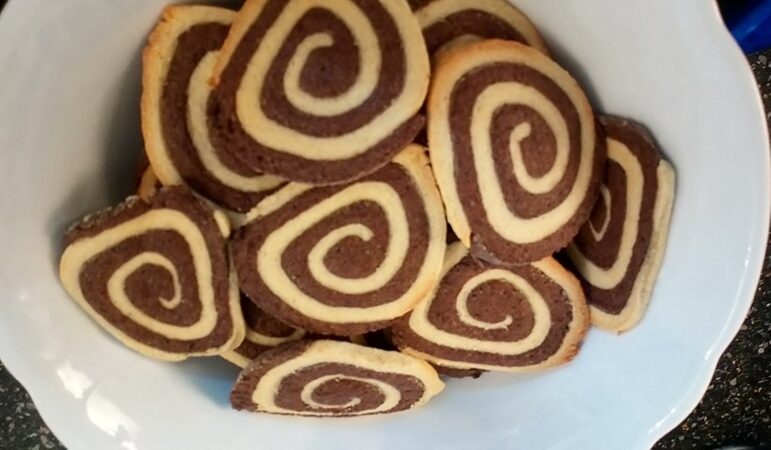 Marmorschnecken